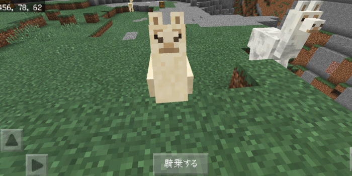 マインクラフトpc Pe ラマの繁殖の仕方とオシャレの方法を解説 マイクラモール