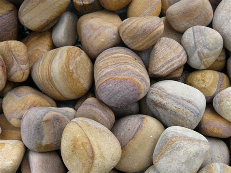buy foras rainbow sandstone pebbles kg bags