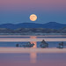 Moon in Penumbral Lunar Eclipse Rising Over Mono Lake