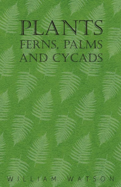 Plants Ferns Palms And Cycads