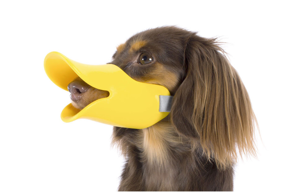 Quack クアック Oppo オッポ 犬 猫 おしゃれでかわいい おすすめペット用品