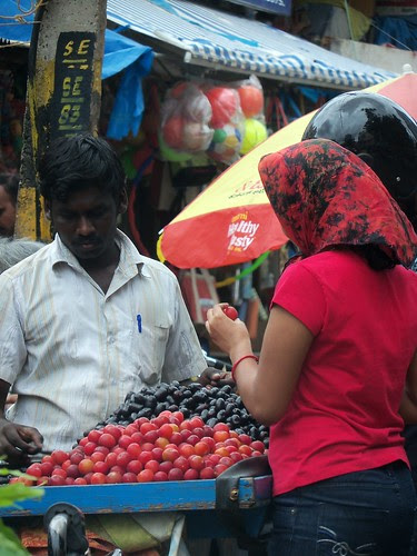 100_9574 by rajesh_dangi