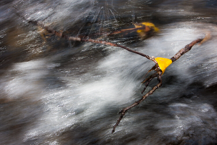 White Balance as a Creative Tool