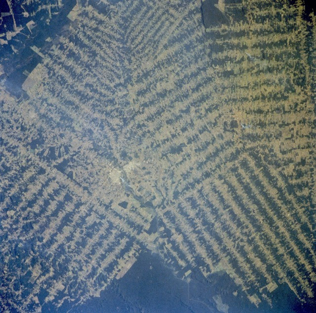 Threats To The Rainforest. Human Threats to