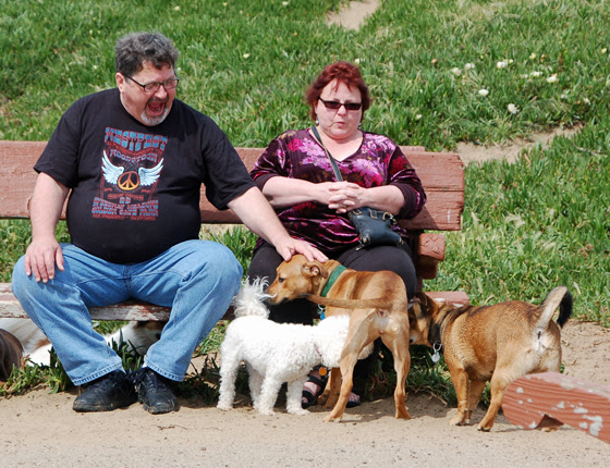 7dog-people.jpg
