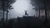Night at the Forest - Blender [3840*2160]