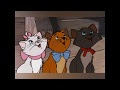 [Le plus populaire! ] prenom chat disney femelle 268888