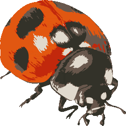 リアルタッチ七星天道虫 No 087 リアルナナホシテントウのイラスト アイコン 条件付フリー素材集 スマホなど携帯電話対応