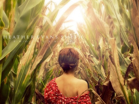 SALE Coming Home - 5x7 signed original fine art photograph