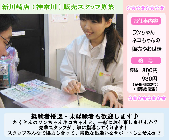 関東のペットショップならハートフルペット 新川崎店求人募集