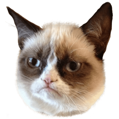 Download Grumpy Cat Head transparent PNG - StickPNG