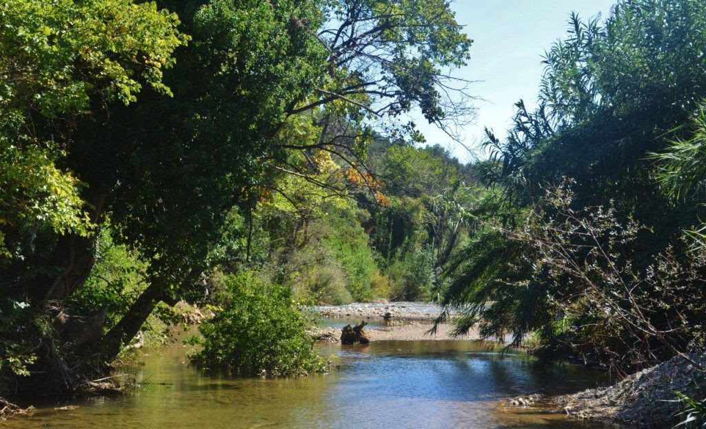 Î£ÏÎµÏÎ¹ÎºÎ® ÎµÎ¹ÎºÏÎ½Î±
