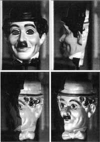 Hollow-Face illusion | Psychology Wiki | FANDOM powered by ...