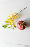 Why Self Acceptance Matters for Weight Loss - an interesting and enlightening post by Andie Mitchell on AndieMitchell.com #weightloss #motivation