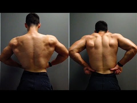 HOW TO ACTUALLY GROW YOUR BACK (LATS)