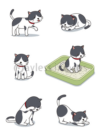 黒ぶち猫のいろいろなポーズ 商用利用可能な写真素材 イラスト素材ならストックフォトの定額制ペイレスイメージズ