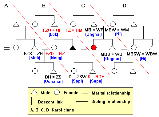 Anthropological Kinship Chart