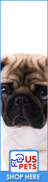 Shop USPets.com Today!