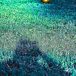 Elusiveの意味 例文 発音 画像付き英語辞書 Imagict