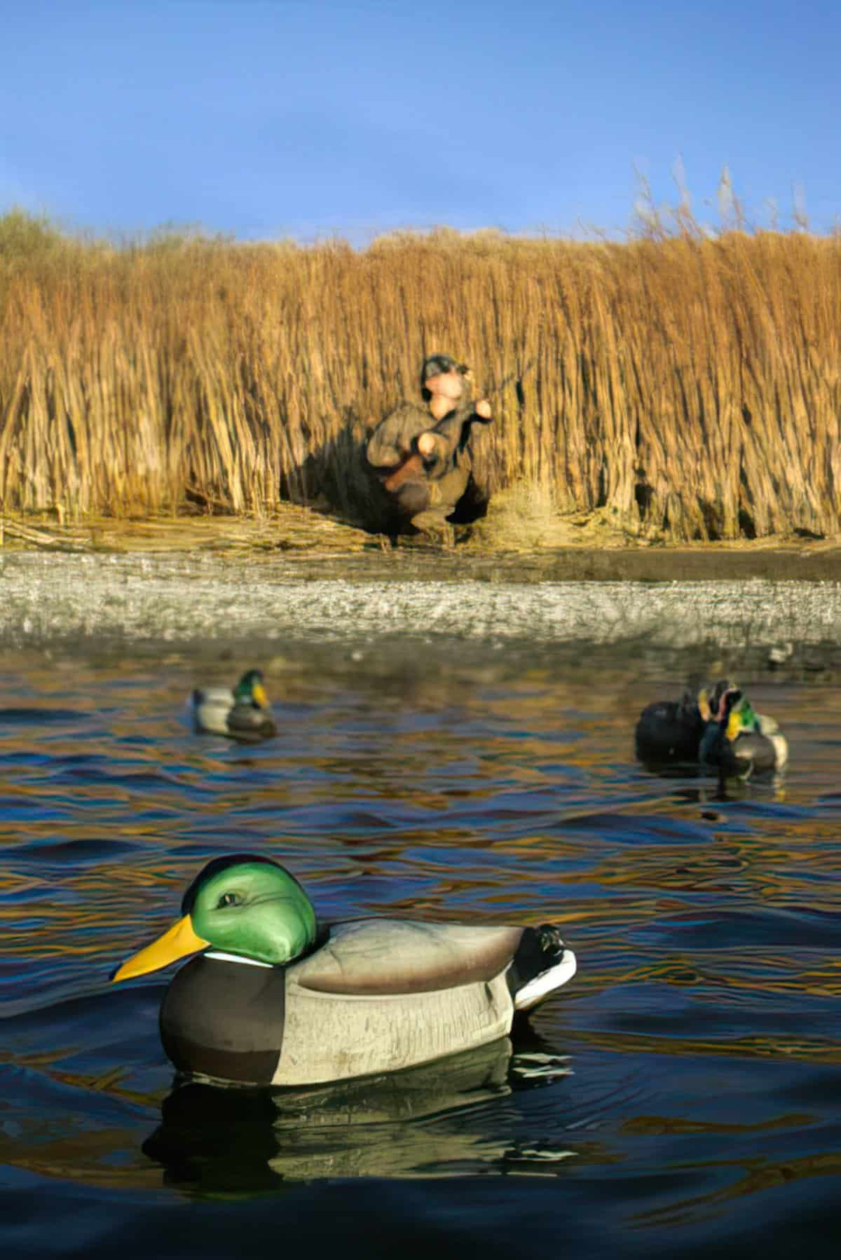 Build Hunting Blinds for Ducks and Geese - MissHomemade.com