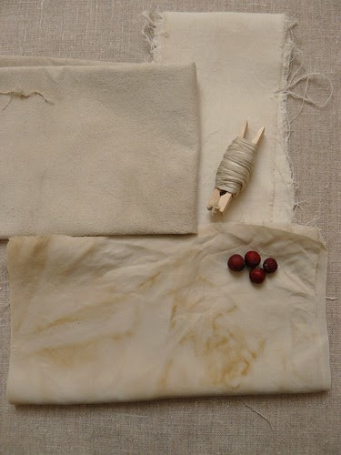 dyeing with plants // juniperus oxycedrus // results