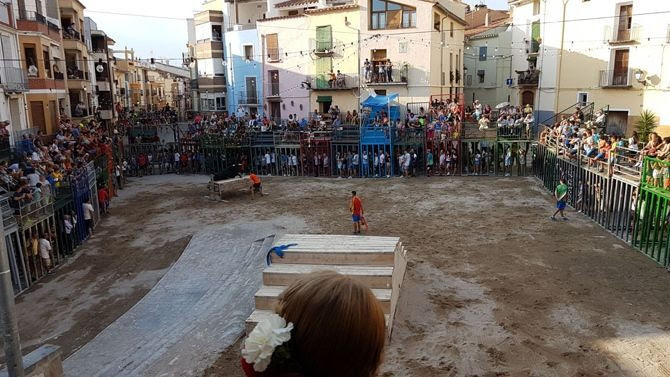 Resultado de imagen de coves de vinroma bous
