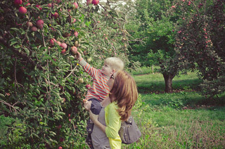 Apples-0165