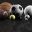 [New post] College Football Night Game Ramblings 10/2