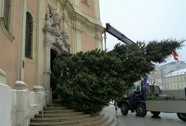 Новогодняя фотоподборка 2012 (110 фото) Новогодняя фотоподборка 2012 (110 фото)