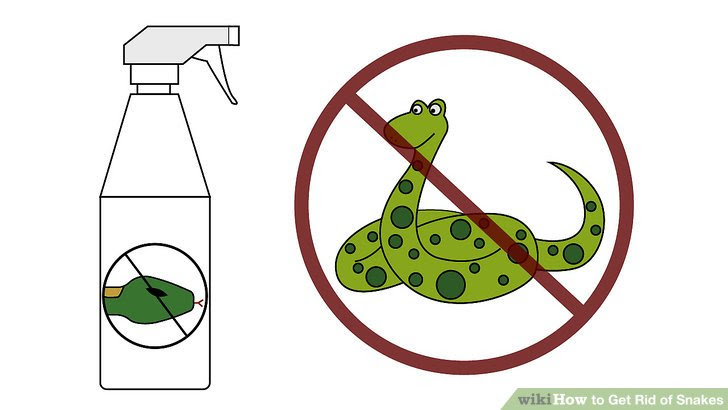 Get Rid of Snakes Step 10 Version 2.jpg