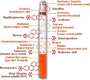 Inspirasi 27+ Bahaya Merokok