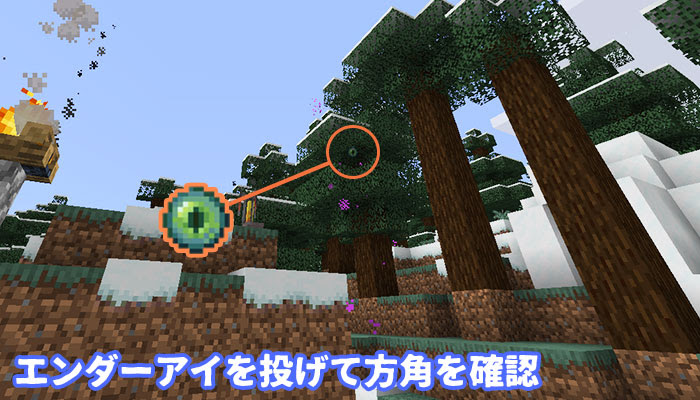ジ エンド 果ての世界 へ行く方法 エンドポータルを簡単に見つけるコツ マイクラモール