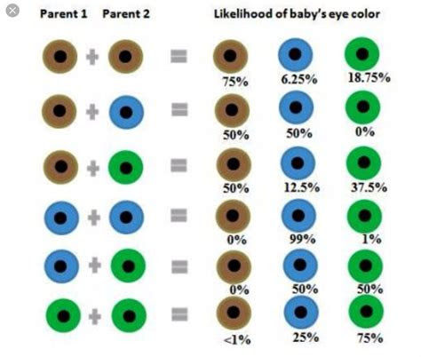  how to choose your babys eye color eye color chart eye color color