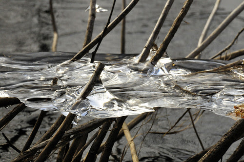 sudbury river february ice