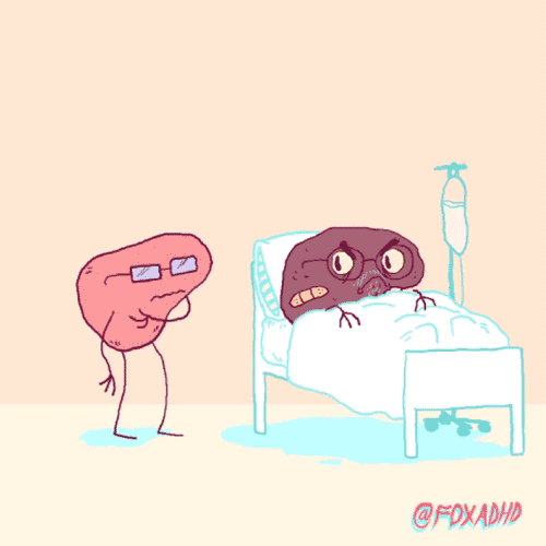 Good For The Liver Too