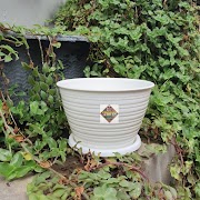 13+ Pot Tawon Putih Murah, Paling Top!