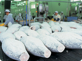 ねぎとろのパイオニア 赤城水産