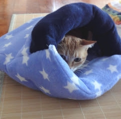 にゃんにゃんにゃんもっく 手作り猫ベッド おうち猫さん用に作られました