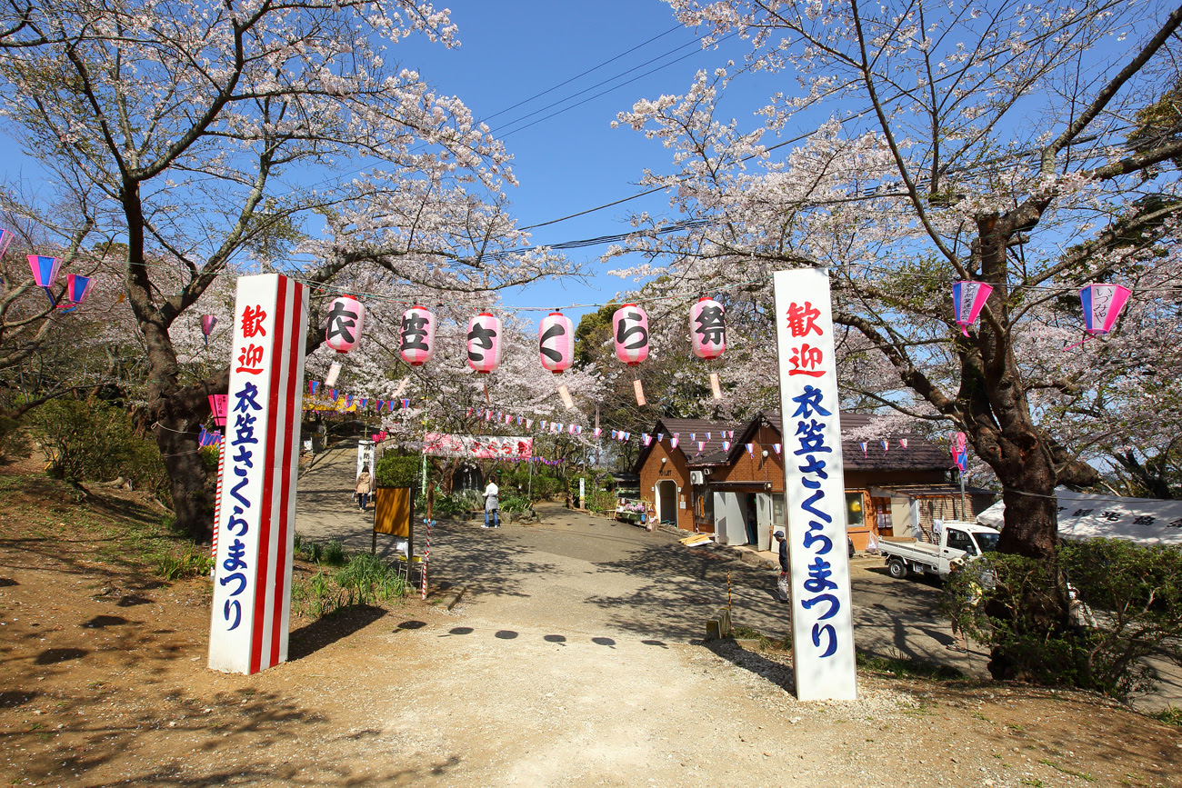 中止 第69回衣笠さくら祭 21 イベント 横須賀市観光情報サイト ここはヨコスカ