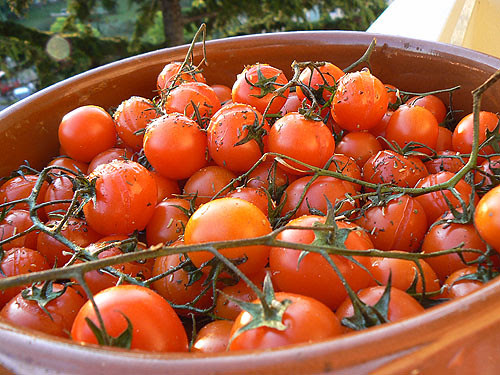 tomates crues 2.jpg