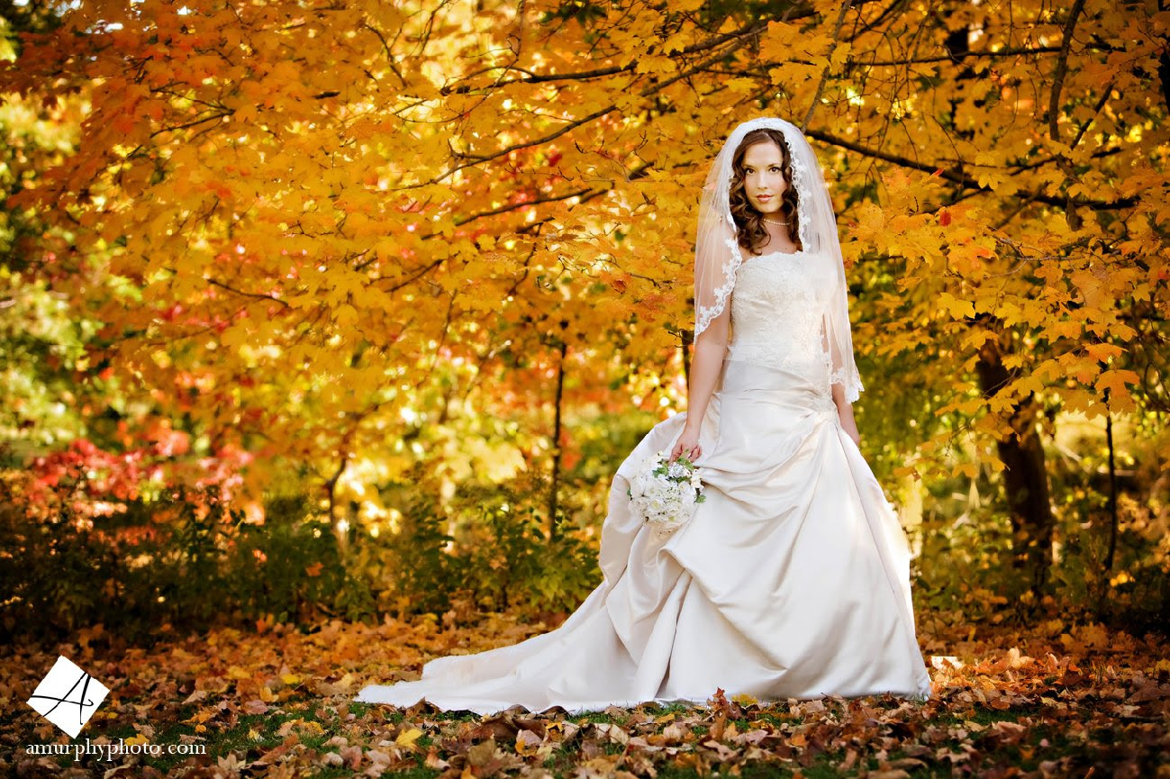 Wedding Dresses Tulsa Lace Wedding dresses tulsa Tulsa Wedding Dresses Tulsa Lace Wedding dresses tulsa Tulsa