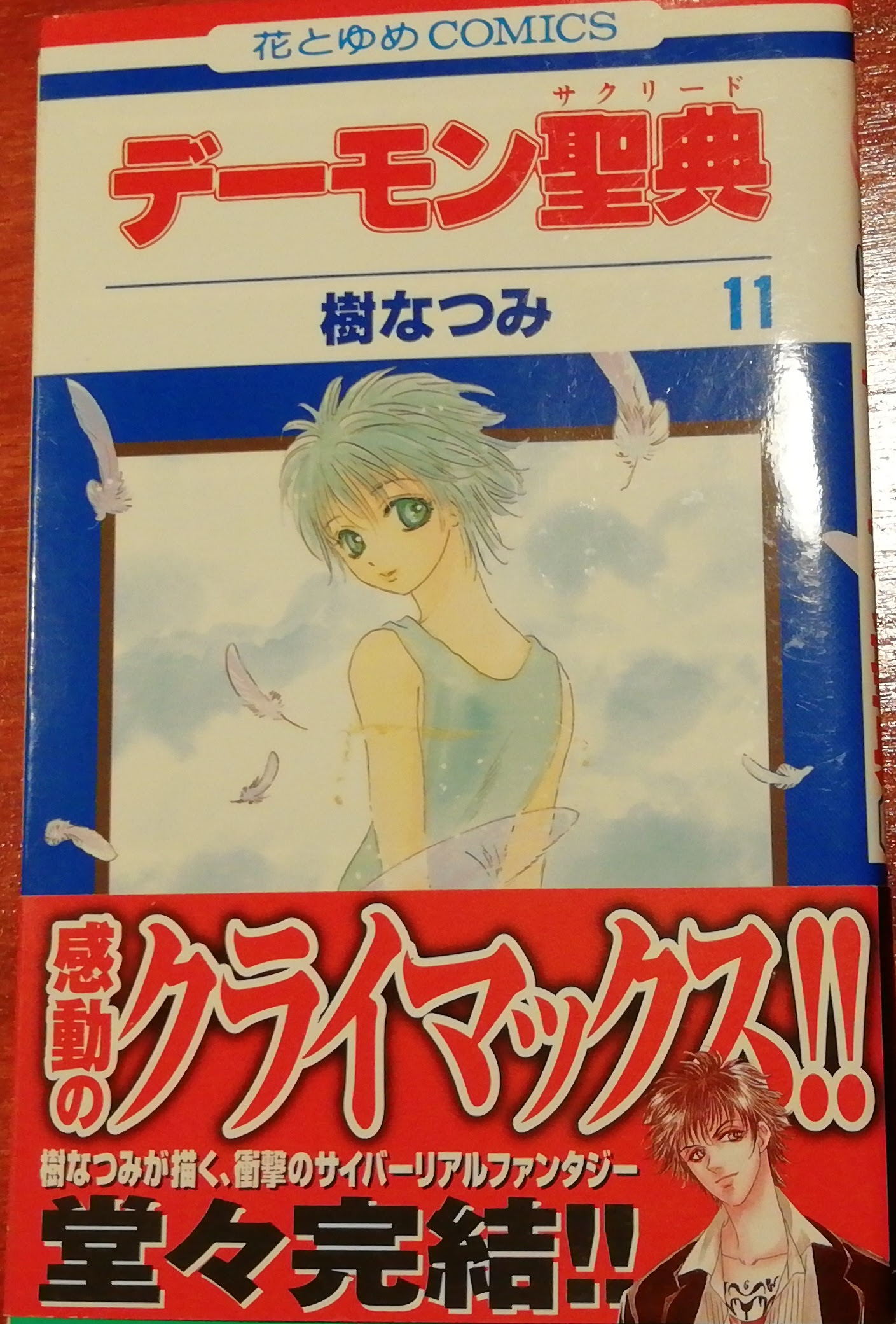デーモン聖典 １１