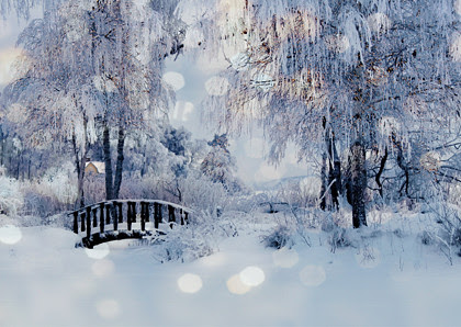 winter fairy lights
