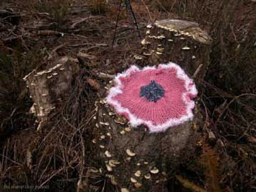 covering a stump with crocheted yarn