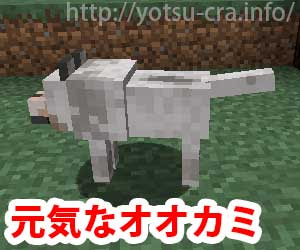 マインクラフト 狼の見つけ方 捕まえ方 繁殖方法も徹底解説