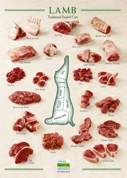 lamb meat cuts diagram
