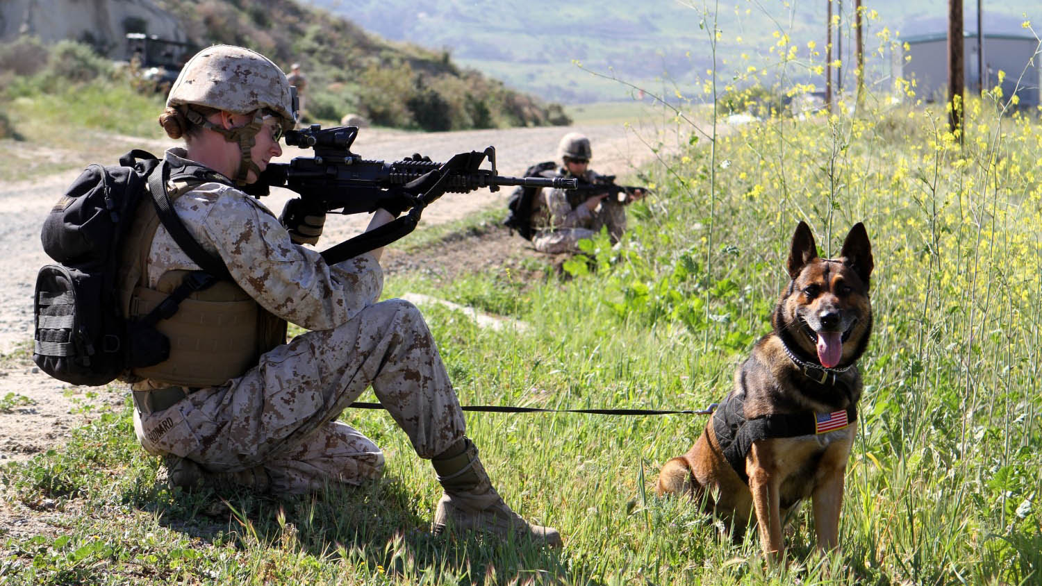 Marines.mil - Photos