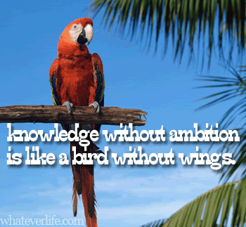 Knowledge Pictures, Images and Photos