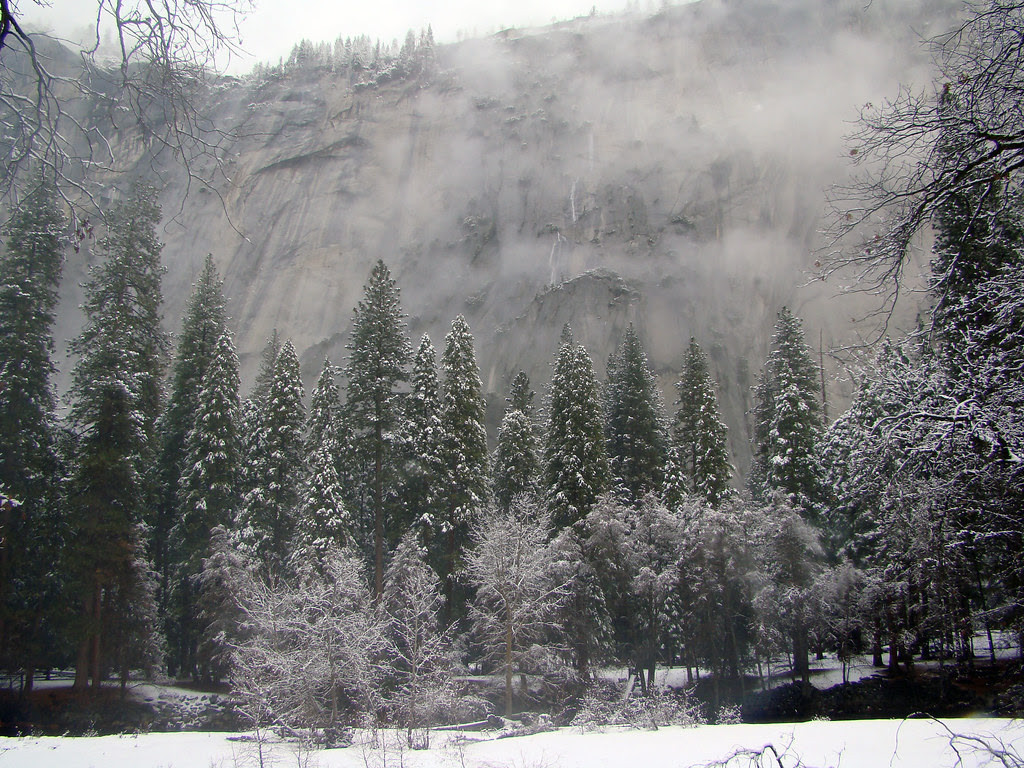DSC04085 Yosemite mist