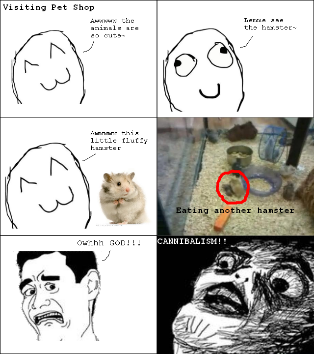 ham100
